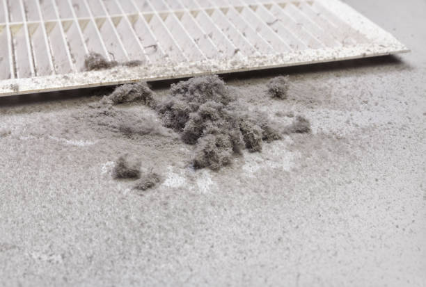 Best Residential Air Duct Cleaning  in Buckhannon, WV