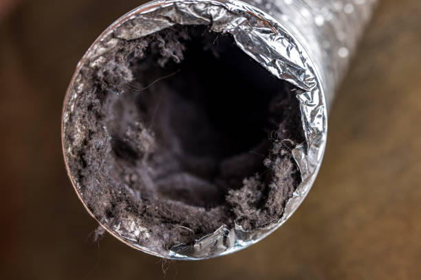 Best HVAC Duct Inspection Services  in Buckhannon, WV